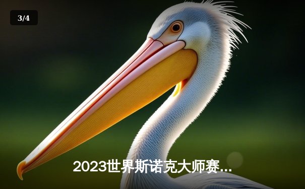 2023世界斯诺克大师赛：特鲁姆普绝地反击9-7力克奥沙利文，夺冠后泪洒赛场 - 3